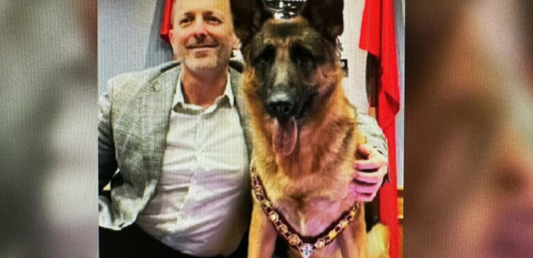 Dog becomes Niagara Falls’ honorary mayor for a weekend to support a good paws