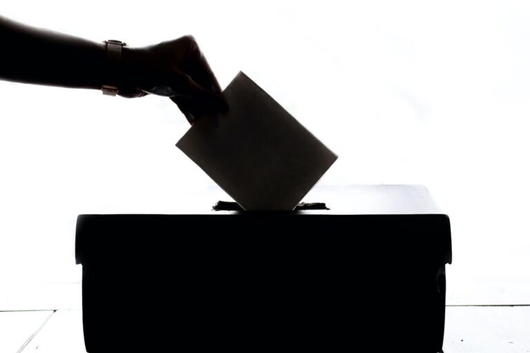 Half the world votes this year — what does this mean for democracy?