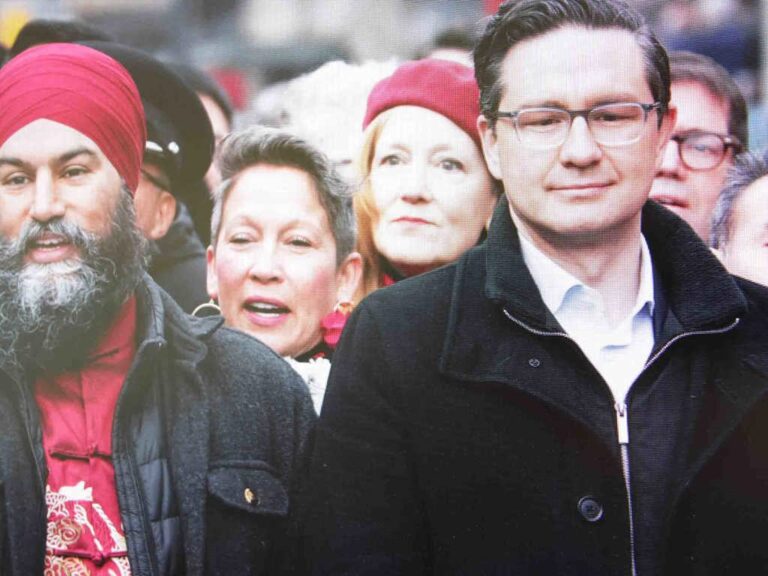 Federal Conservative carbon tax pause bill gains NDP support, fails to pass