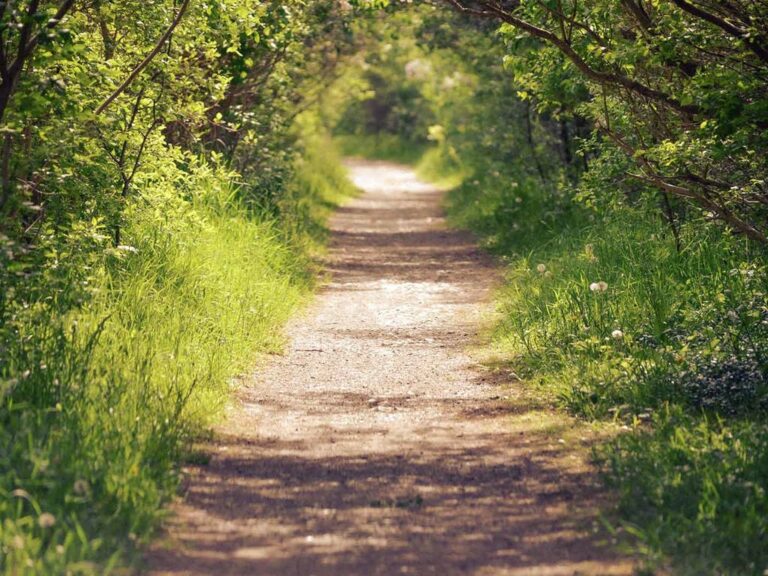 St. Johns Conservation Area: a classic and beautiful hiking spot