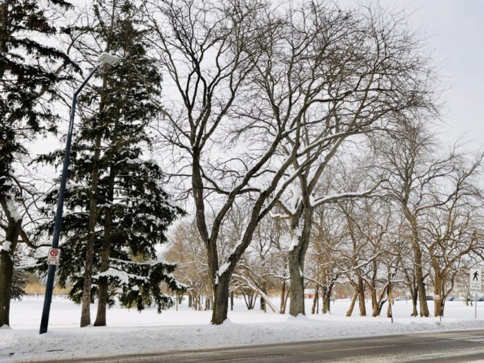 snow photo by taylor westbury