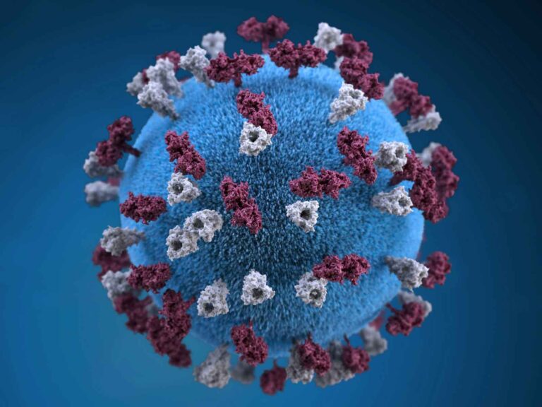 Measles cases have been appearing across the country: do Brock students need to be worried? 