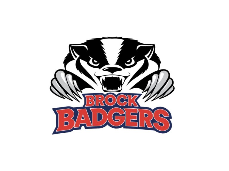 Eight Badgers win national awards and all-star selections 