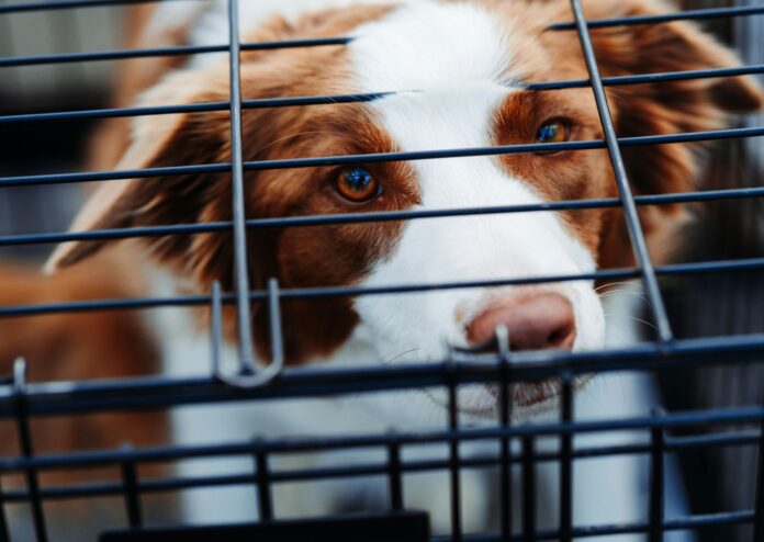 Photo by Hermes Rivera on Unsplash