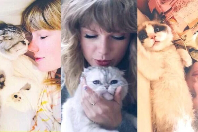 taylor photo by mikayla g