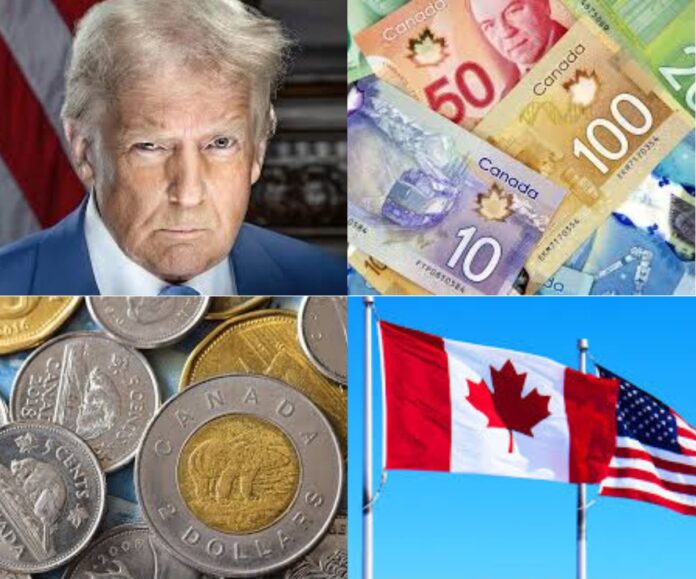 photo by taylor w 11