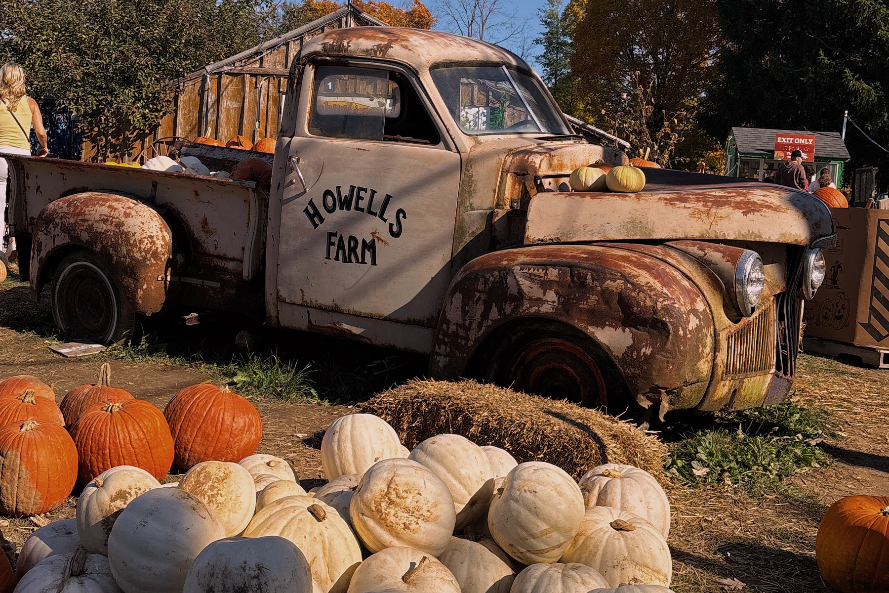 Howells Farm photo by mikayla g