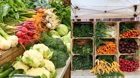 Pop up market by Andrea A