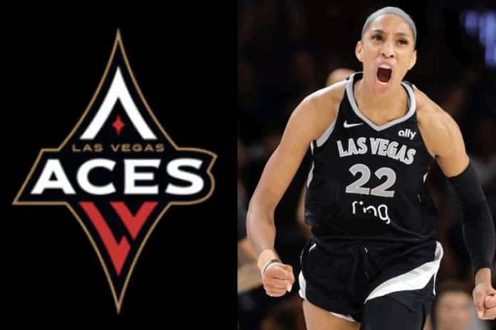 WNBA playoffs photo by mikayla g