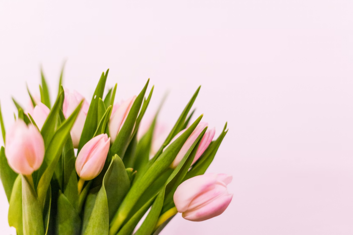 Artiom Vallat (unsplash) photo by mikayla g