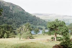 nostalgia by Mohibs Tilted Tripod Instagram