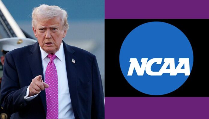 trump ncaa by Andrea A